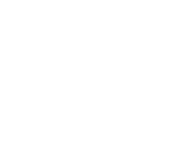 Scepter Inc.