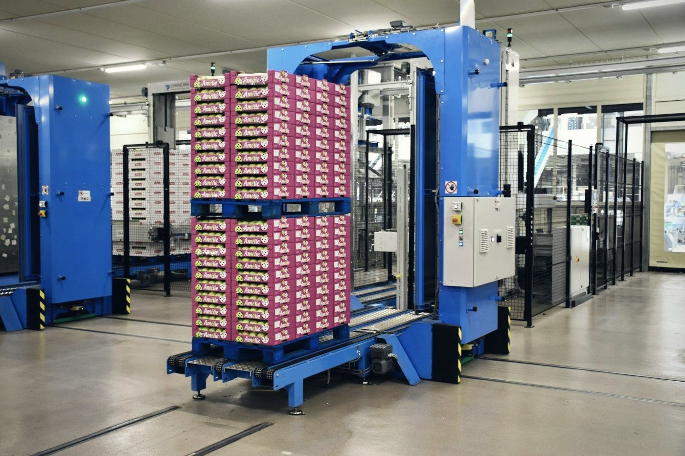 Automated palletizing of cases (stock photo)